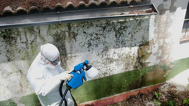 Trusted Bathroom Mold Removal service in Marietta, PA - Cheap Mold Removal